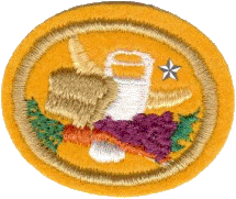 Nutrición II